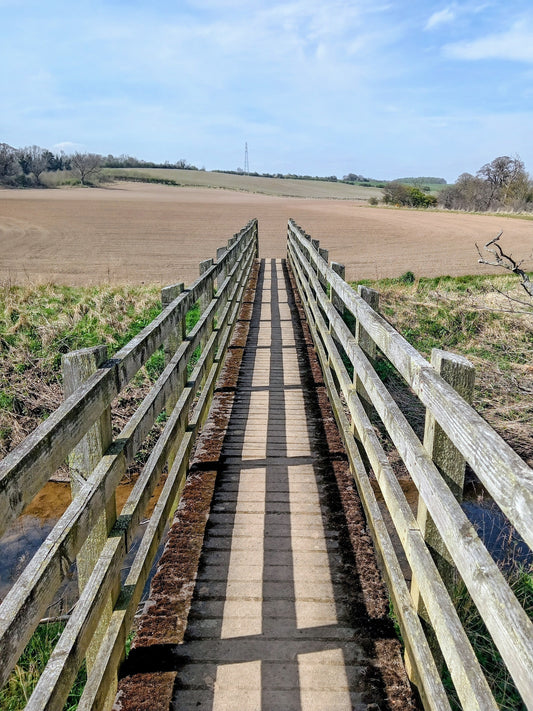Why We Left the City: Our Family’s Journey to the Countryside in Search of a Simpler Life