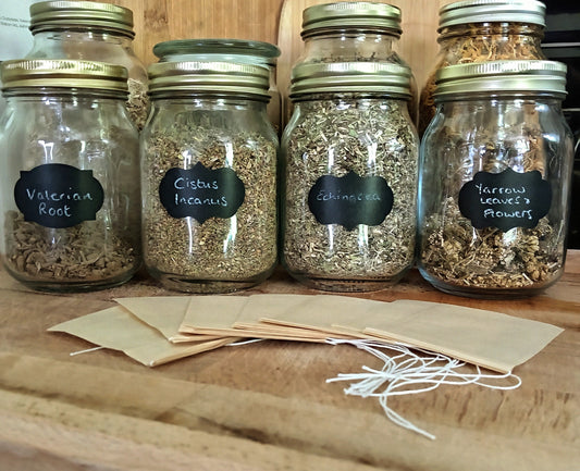 Discovering the Benefits of Herbs, Natural Living, and a More Eco-Friendly Way of Life