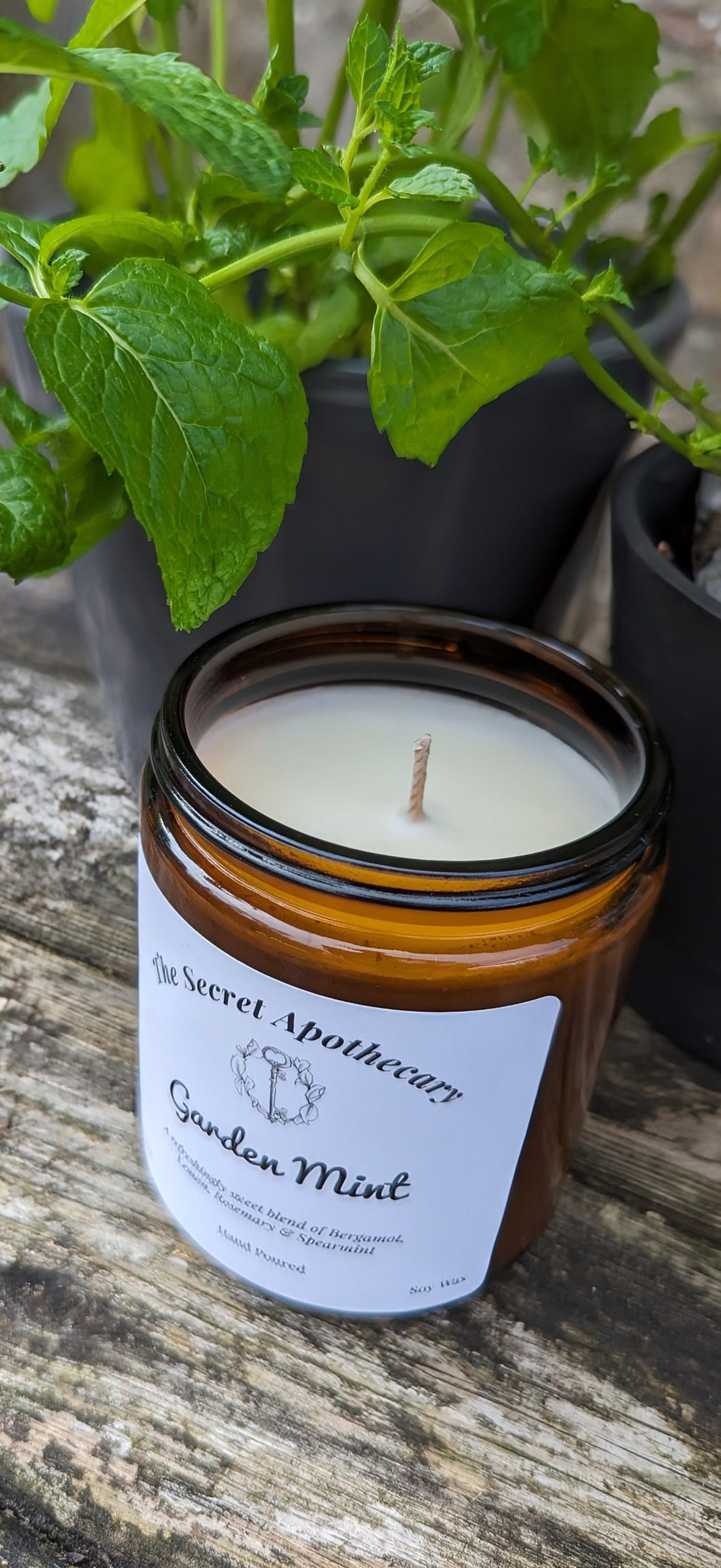 Garden Mint Luxury Scented Candle - 100% organic soy wax candle with premium essential oils in amber glass jar. Eco friendly.