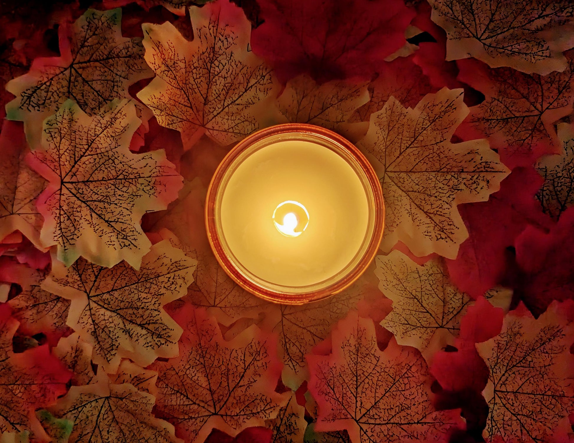 Falling Leaves Luxury Scented Candle - 100% organic soy wax candle with premium essential oils in amber glass jar. Eco friendly.